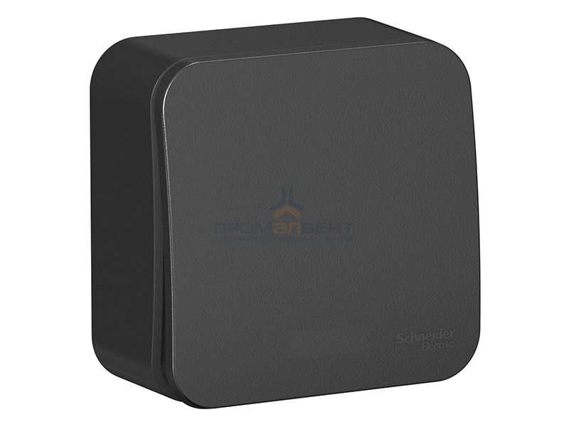 Кнопочный выключатель с самовозвратом (cх.1) Blanca Schneider Electric 10А антрацит изол.пластина